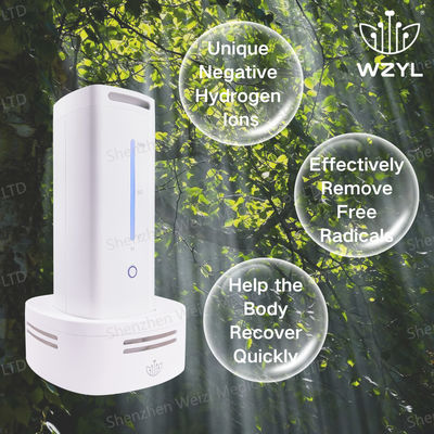 Good price Generador de inhalador de oxígeno de hidrógeno negativo de 12V estilo escritorio de 18W en línea