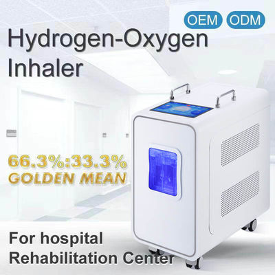 Buen precio 110v 220v Máquina de Inhalación de Hidrógeno PEM para el hogar 3000ml en línea