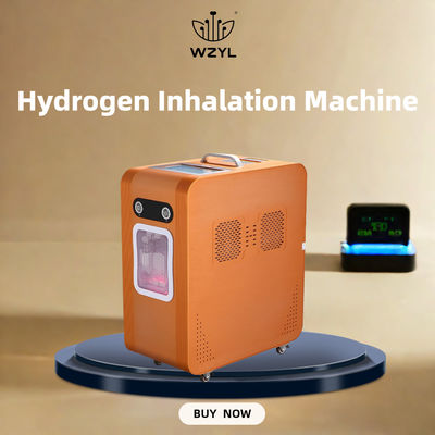 Buen precio Inhalador de oxígeno de hidrógeno AC220V Máquina de inhalación de hidrógeno 3000ml/M en línea